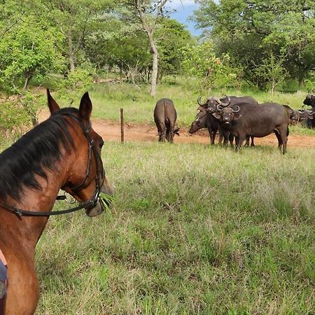 Wild Ride Safaris And Bush Camp Βίλα Hoedspruit Εξωτερικό φωτογραφία