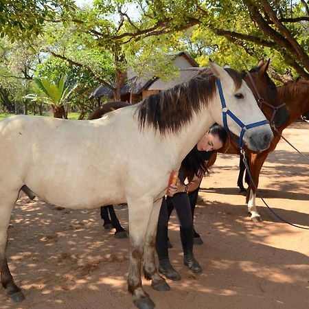 Wild Ride Safaris And Bush Camp Βίλα Hoedspruit Εξωτερικό φωτογραφία