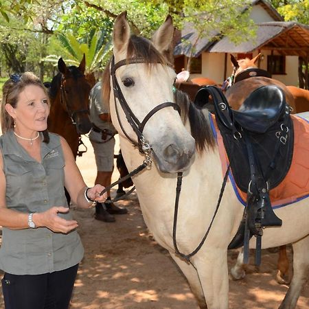 Wild Ride Safaris And Bush Camp Βίλα Hoedspruit Εξωτερικό φωτογραφία
