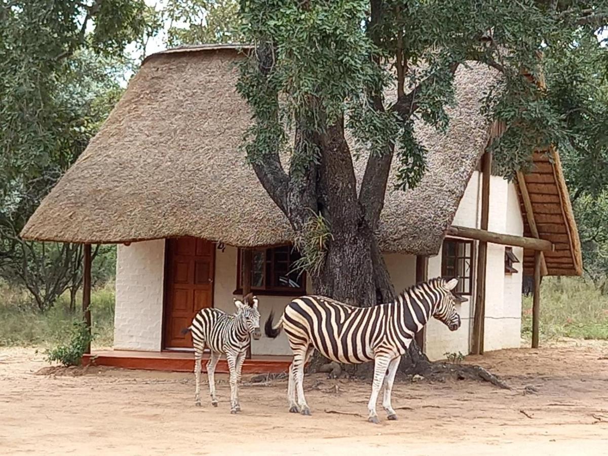 Wild Ride Safaris And Bush Camp Βίλα Hoedspruit Εξωτερικό φωτογραφία