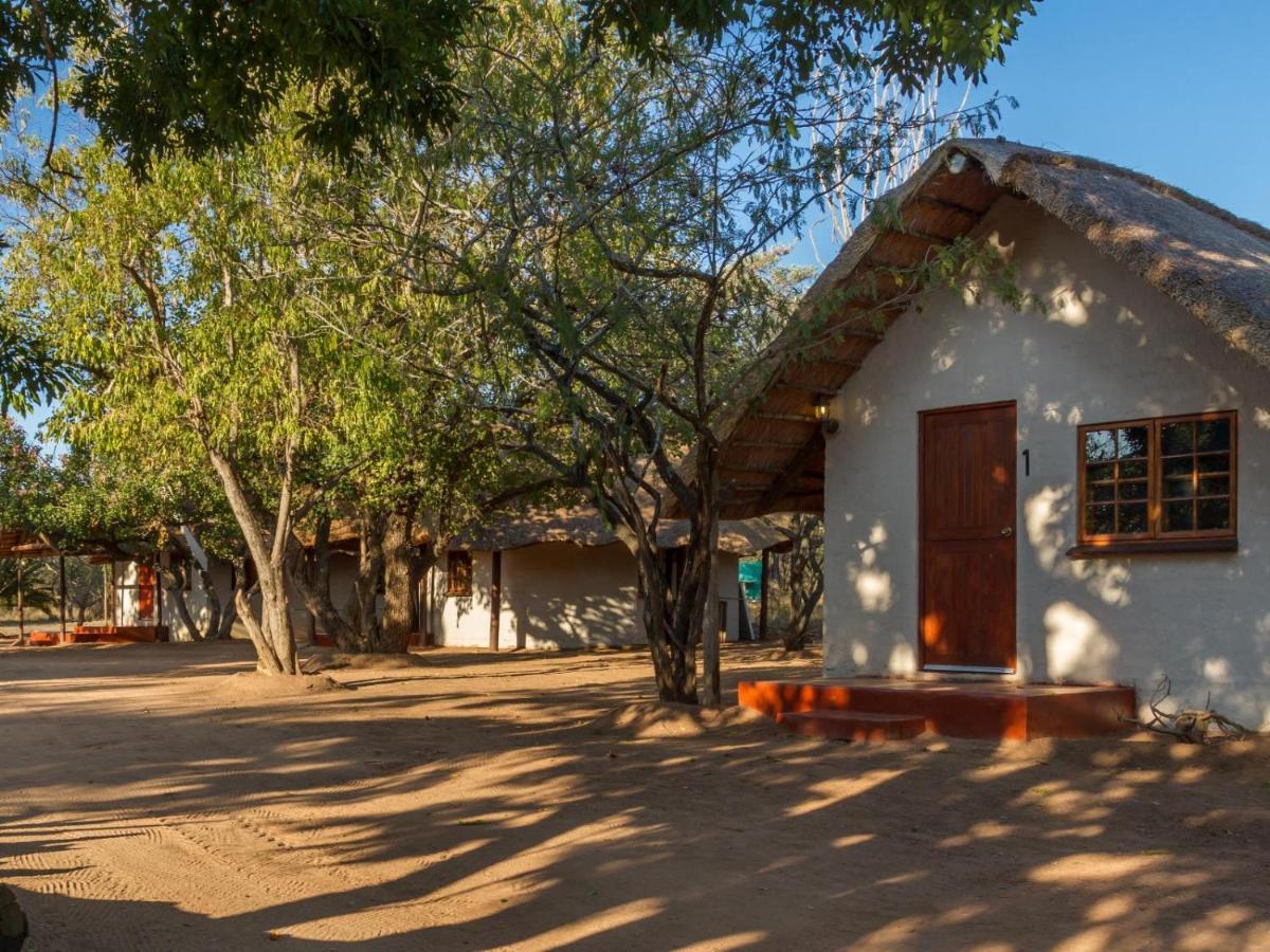 Wild Ride Safaris And Bush Camp Βίλα Hoedspruit Εξωτερικό φωτογραφία