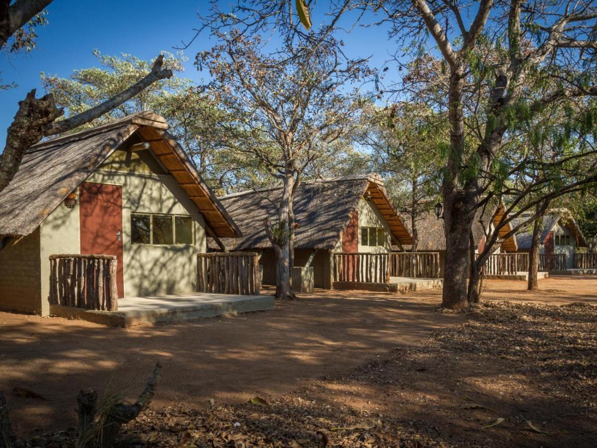 Wild Ride Safaris And Bush Camp Βίλα Hoedspruit Εξωτερικό φωτογραφία