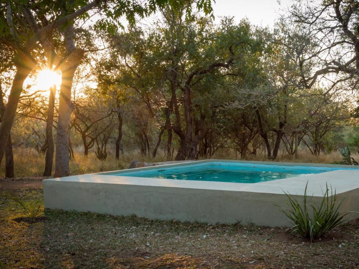 Wild Ride Safaris And Bush Camp Βίλα Hoedspruit Εξωτερικό φωτογραφία