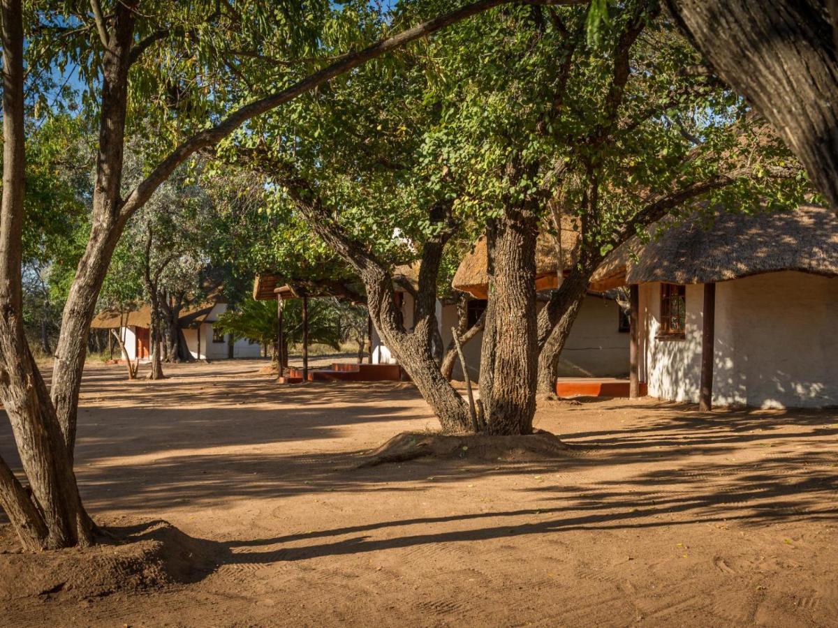 Wild Ride Safaris And Bush Camp Βίλα Hoedspruit Εξωτερικό φωτογραφία