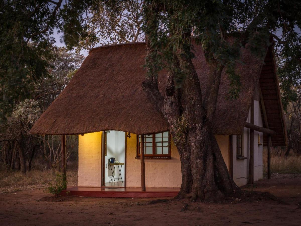 Wild Ride Safaris And Bush Camp Βίλα Hoedspruit Εξωτερικό φωτογραφία