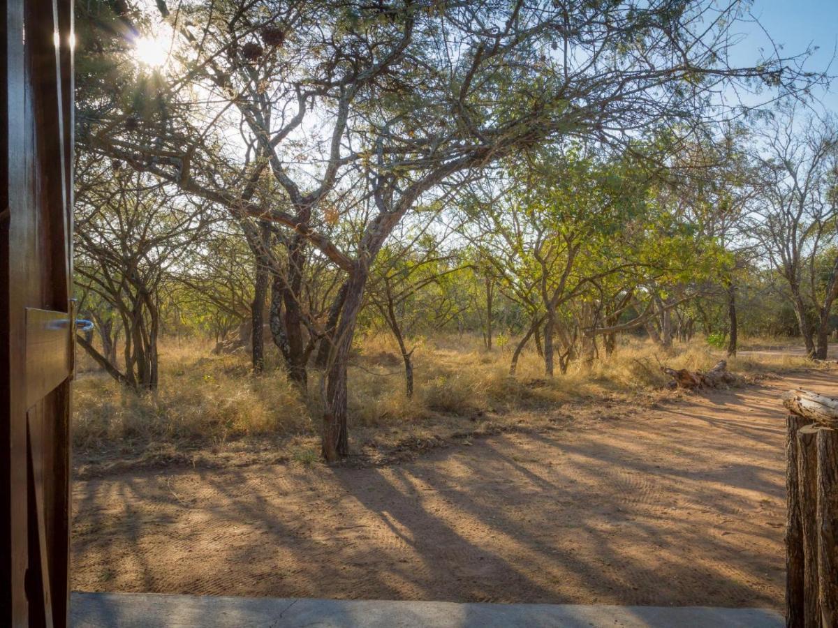 Wild Ride Safaris And Bush Camp Βίλα Hoedspruit Εξωτερικό φωτογραφία