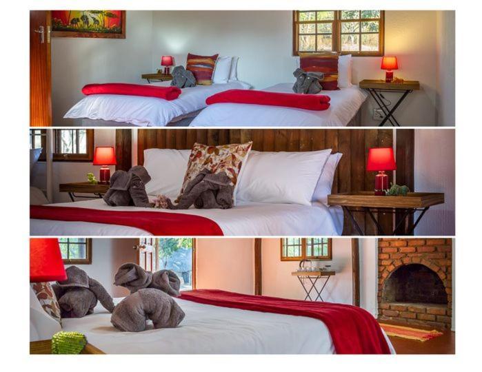 Wild Ride Safaris And Bush Camp Βίλα Hoedspruit Εξωτερικό φωτογραφία
