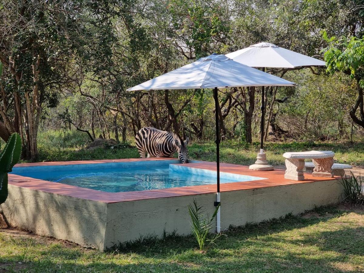 Wild Ride Safaris And Bush Camp Βίλα Hoedspruit Εξωτερικό φωτογραφία