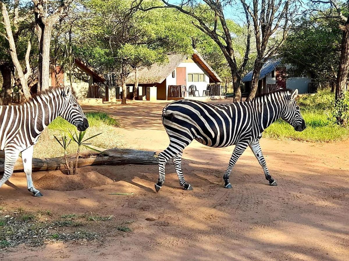 Wild Ride Safaris And Bush Camp Βίλα Hoedspruit Εξωτερικό φωτογραφία