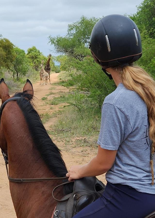 Wild Ride Safaris And Bush Camp Βίλα Hoedspruit Εξωτερικό φωτογραφία