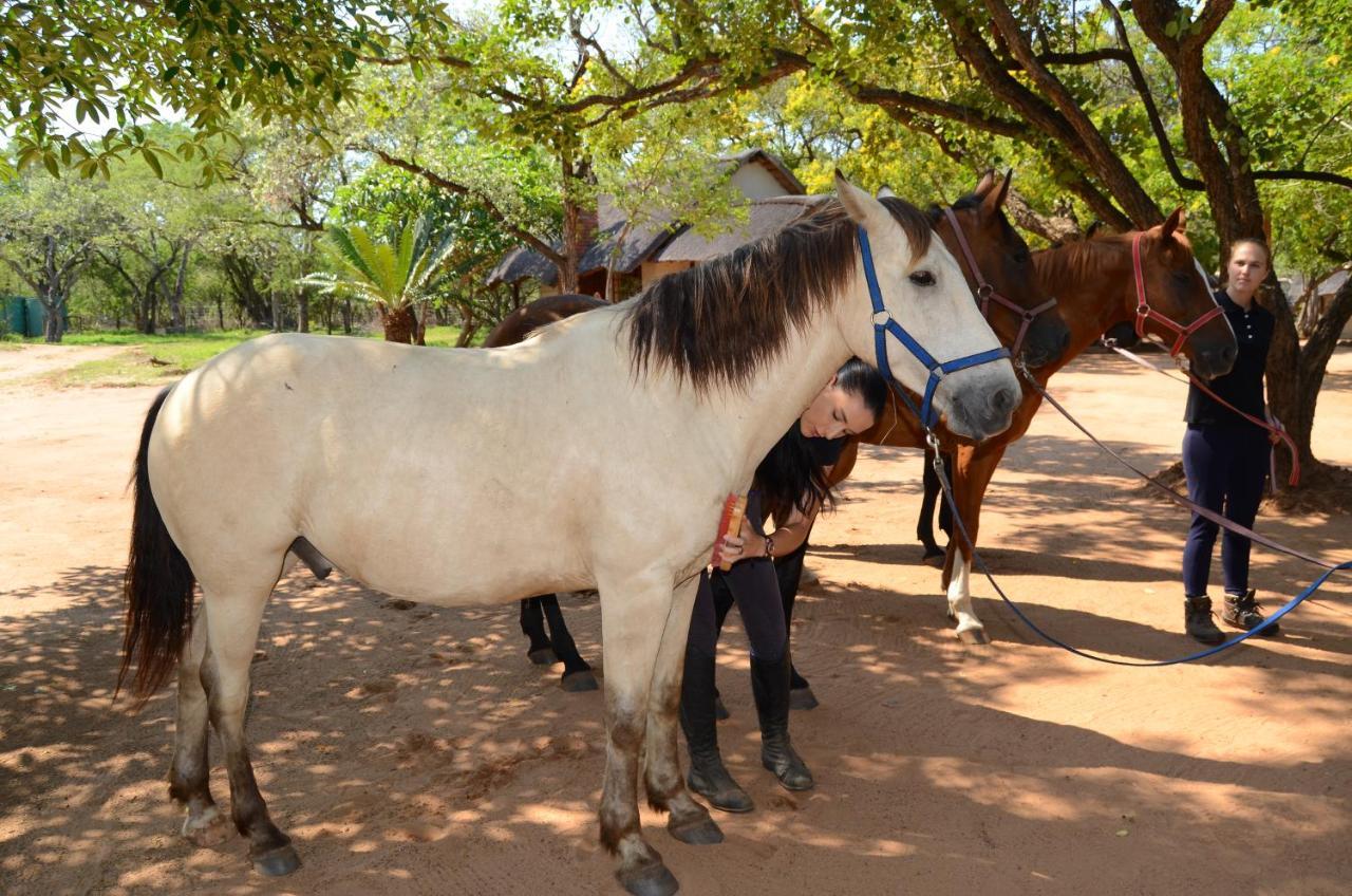 Wild Ride Safaris And Bush Camp Βίλα Hoedspruit Εξωτερικό φωτογραφία