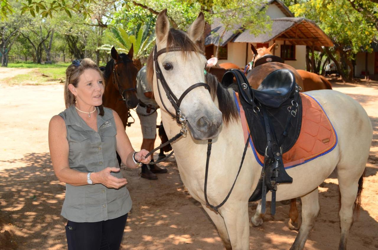 Wild Ride Safaris And Bush Camp Βίλα Hoedspruit Εξωτερικό φωτογραφία