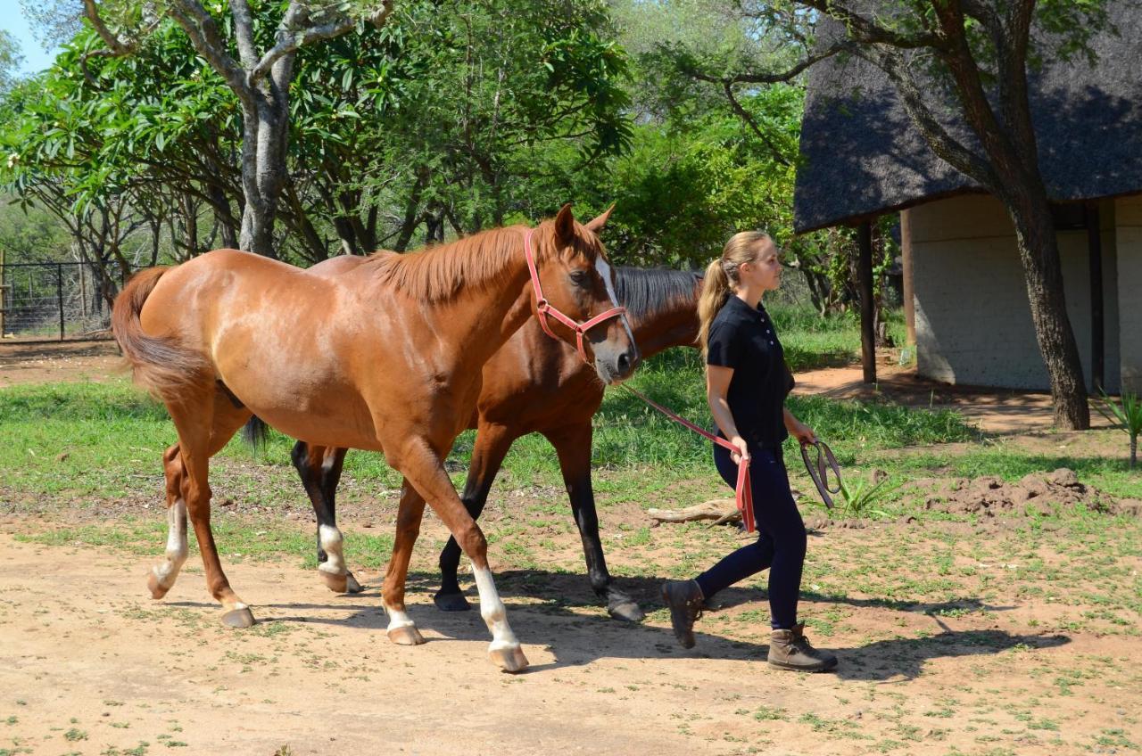 Wild Ride Safaris And Bush Camp Βίλα Hoedspruit Εξωτερικό φωτογραφία